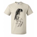 Bat Falcon