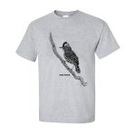 Barred Antshrike - Image 2