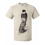 Bat Falcon