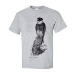 Bat Falcon - Image 3