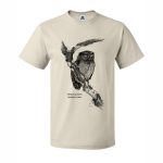 Vermiculated Screech Owl